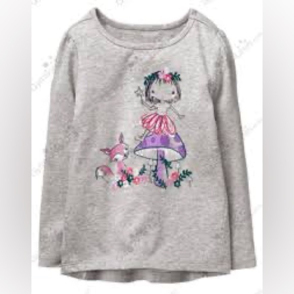 OshKosh B'gosh Other - OshKosh B'gosh Gray Long Sleeve Shirt with Fairy and Fox Design